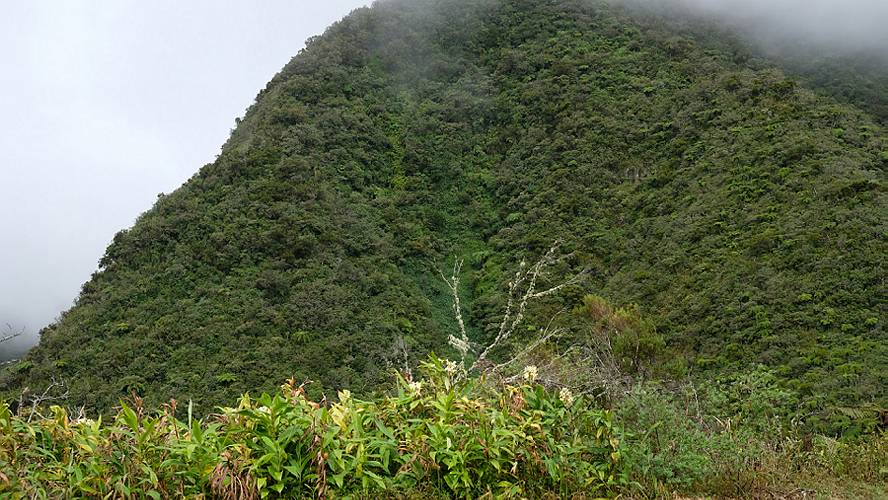 08-route du volcan_74